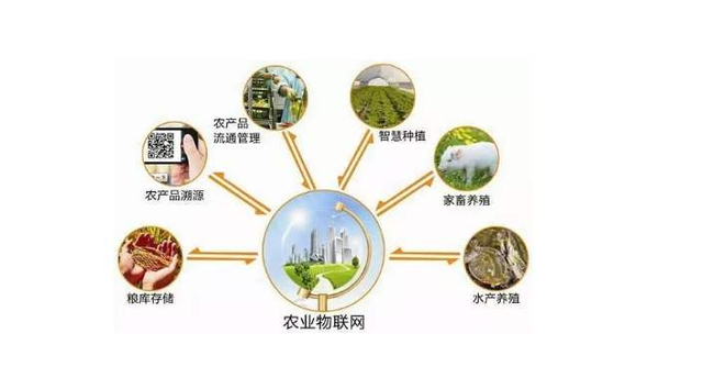 智慧农业物联网--中央一号文件--加强农业产业科技创新中心建设